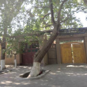 評論圖片 7