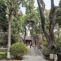 評論圖片 3