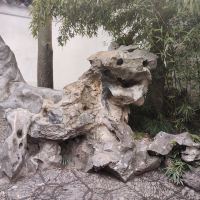 評論圖片 3
