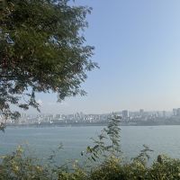 評論圖片 6