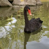 評論圖片 6