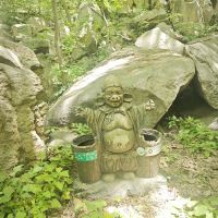 評論圖片 4