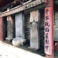 評論圖片 1
