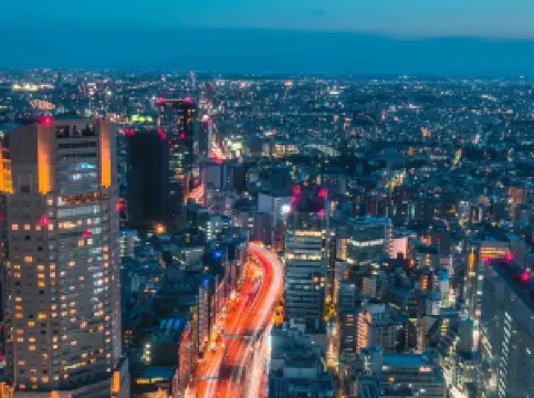 Top 50 Night Attractions in Tokyo