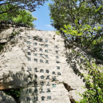 評論圖片 7
