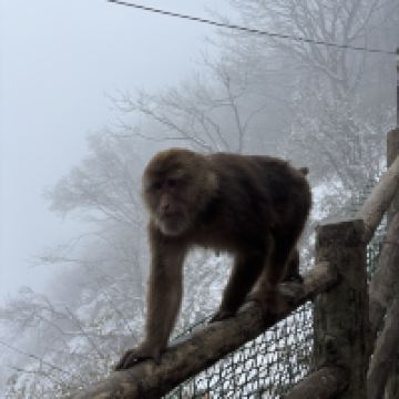 評論圖片 2
