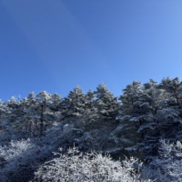 評論圖片 3