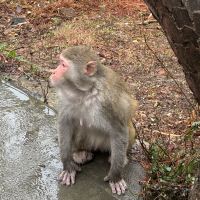 評論圖片 6