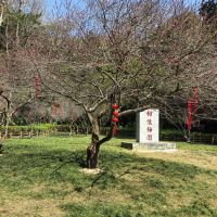 評論圖片 3