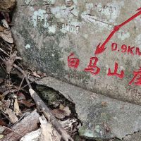 評論圖片 2