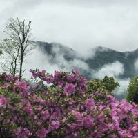 評論圖片 4