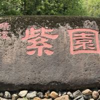 評論圖片 1