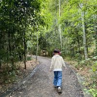 評論圖片 2