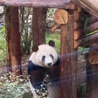評論圖片 5