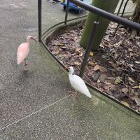 評論圖片 3