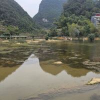 評論圖片 5