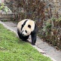 評論圖片 1
