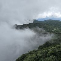 評論圖片 4