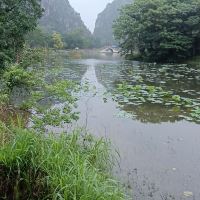 評論圖片 6
