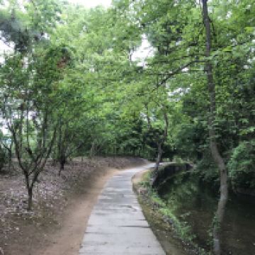 評論圖片 3