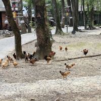 評論圖片 9