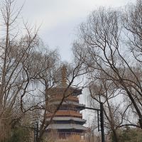 評論圖片 6