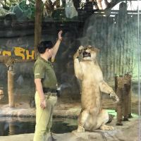 評論圖片 3