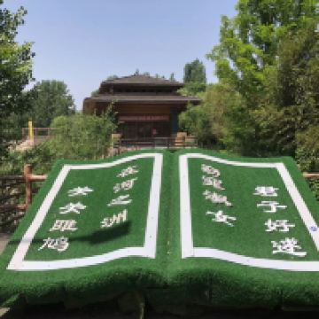 評論圖片 4