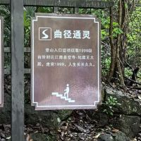 評論圖片 5