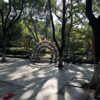 評論圖片 8