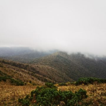 評論圖片 4