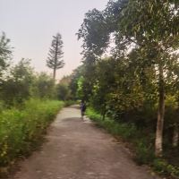 評論圖片 1