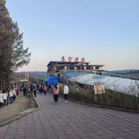 評論圖片 7