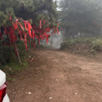 評論圖片 8