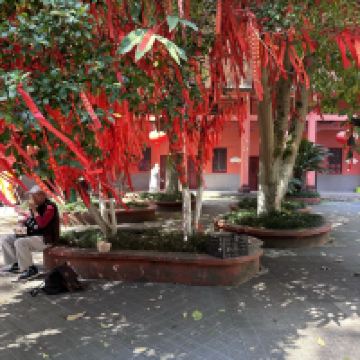 評論圖片 8