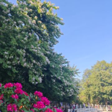 評論圖片 1