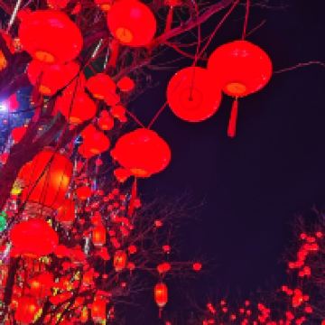 評論圖片 7