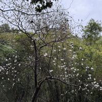 評論圖片 6