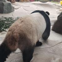 評論圖片 3