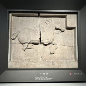 評論圖片 3
