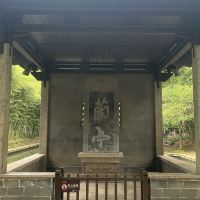 評論圖片 5