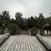 評論圖片 2