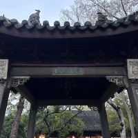 評論圖片 5
