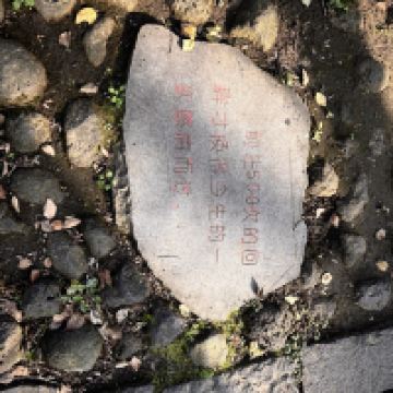 評論圖片 2