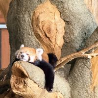 評論圖片 3