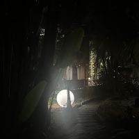 評論圖片 4