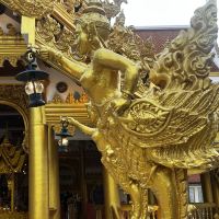 評論圖片 2