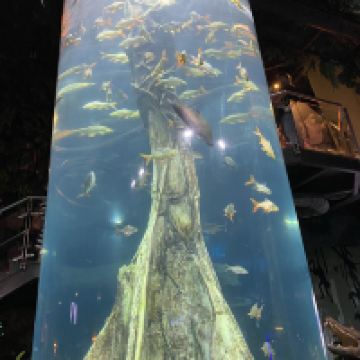 評論圖片 1