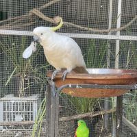 評論圖片 4