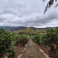 評論圖片 5